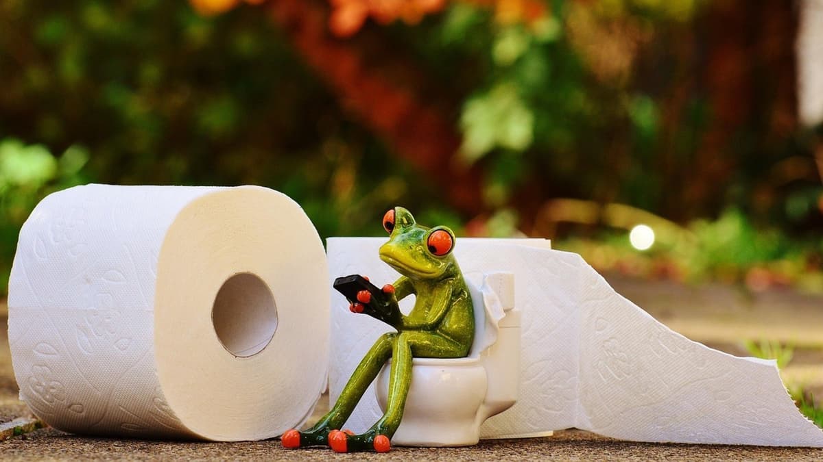 อึเปลี่ยนชีวิต! วิจัยพบปลูกถ่ายอุจจาระหนูแก่ ช่วยฟื้นฟูรังไข่หนูสาวให้ฟิตปั๋ง