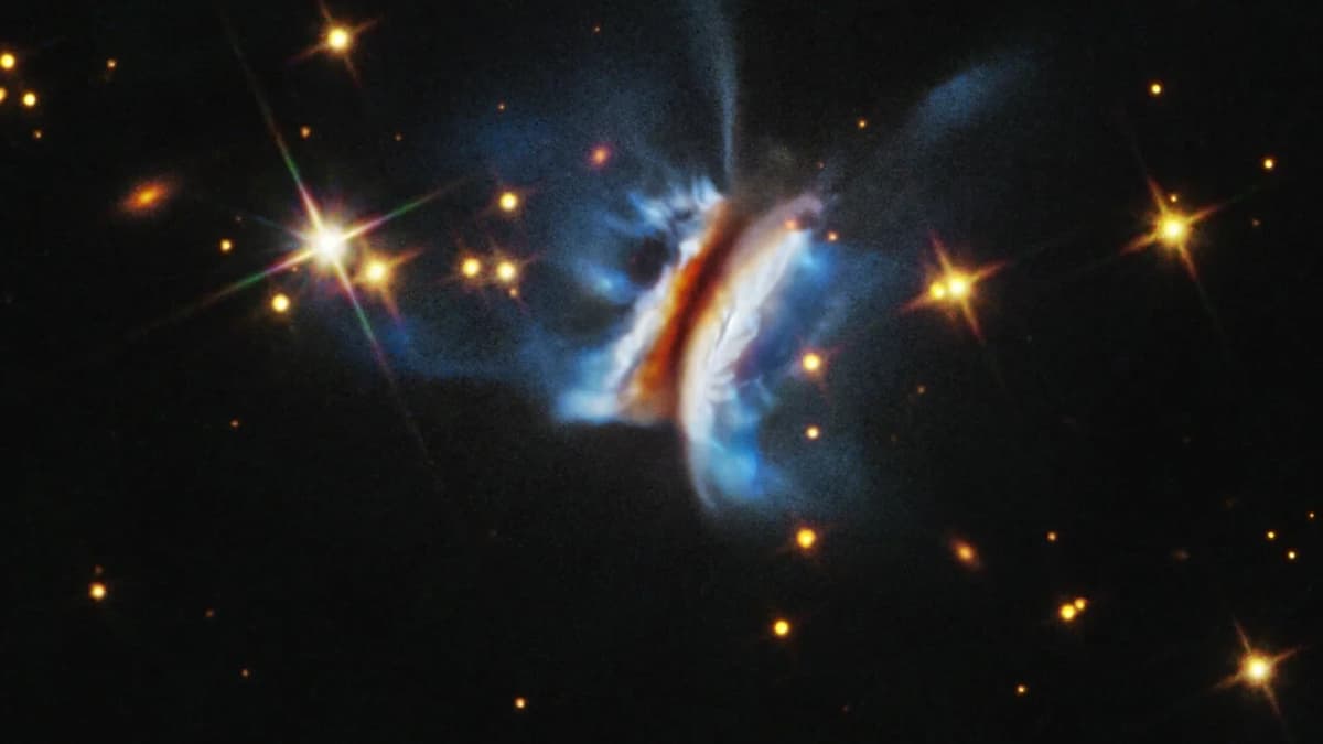 Hubble เผยภาพ "Dracula’s Chivito" จานกำเนิดดาวเคราะห์ใหญ่สุดเท่าที่เคยพบ