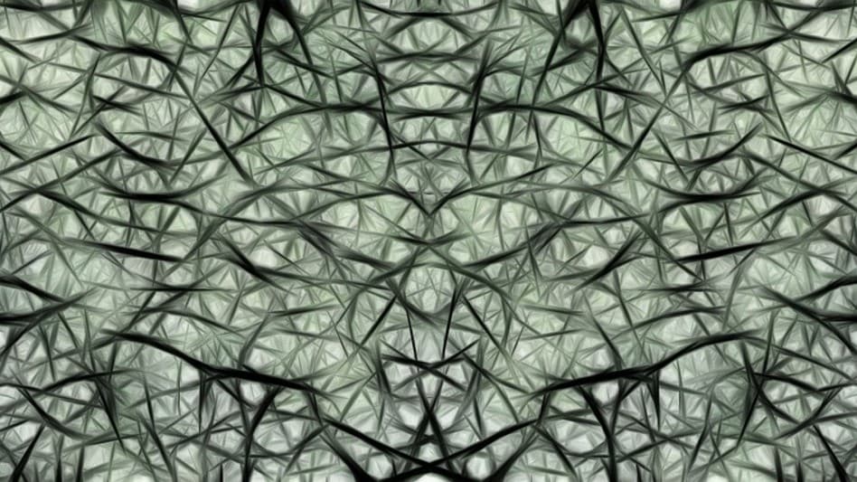 นักวิทย์พบเซลล์ประสาทจิ๋ว คุมทั้งสมอง เสี่ยงพังเพราะความเครียด อาจโยงอัลไซเมอร์