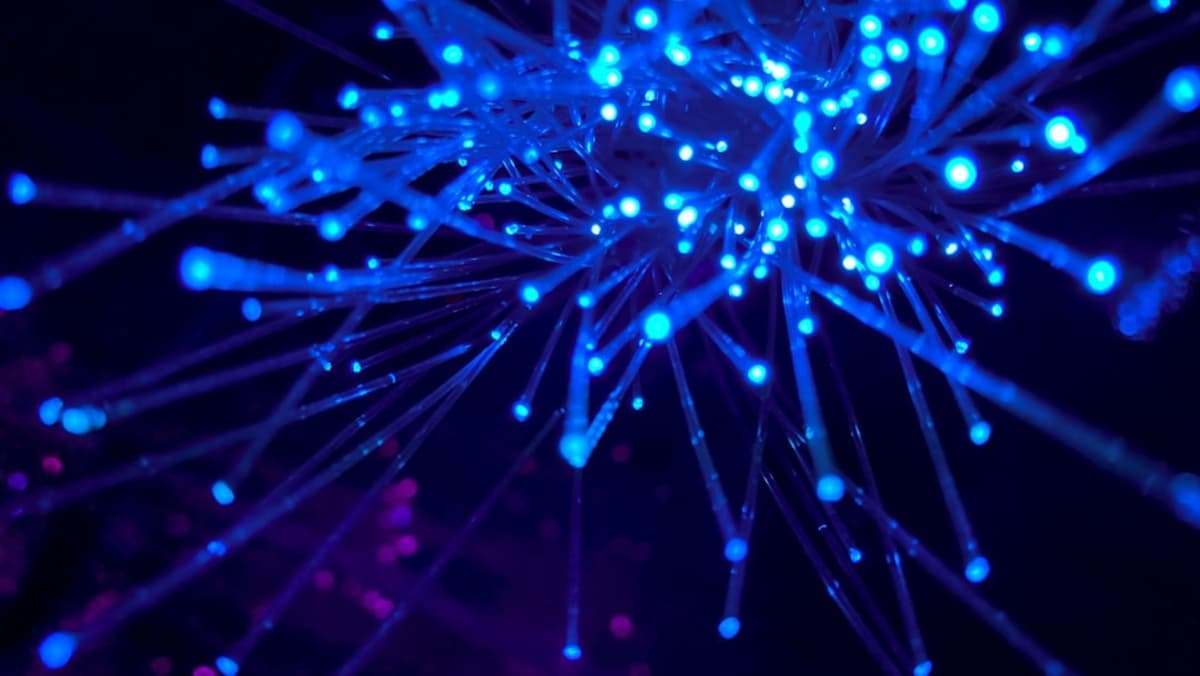 ทฤษฎี Dead Internet: เมื่ออินเทอร์เน็ตอาจ ‘ตาย’ ภายใน 3 ปี เพราะ AI ครองโลก
