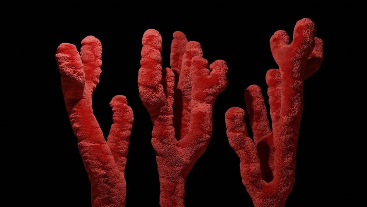 โครโมโซม Y กำลังเสื่อมสลาย? นักวิทย์ถกเดือด อนาคตเผ่าพันธุ์ชายจะเป็นอย่างไร