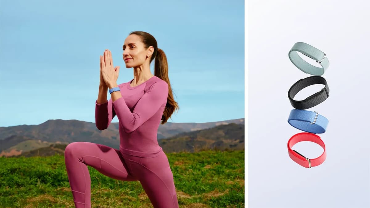 Google เปิดตัว Fitbit Air สายรัดข้อมือไร้หน้าจอ แบตอึด 7 วัน ราคาเริ่ม 3 พันนิดๆ